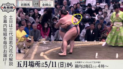 world-sports