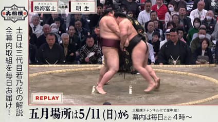 world-sports