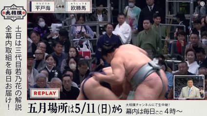 world-sports