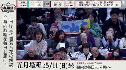 world-sports
