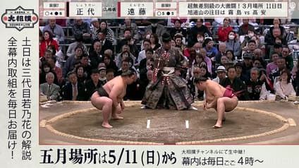 world-sports