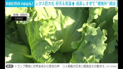 abema-news