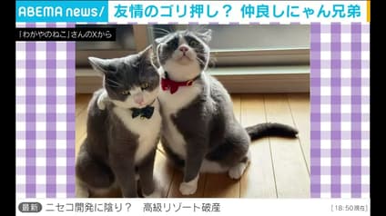 abema-news