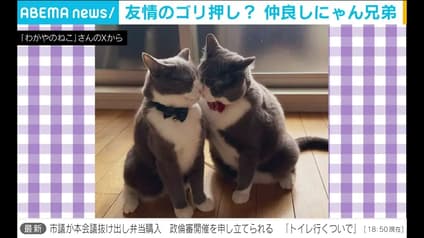 abema-news