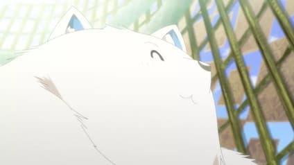 abema-anime