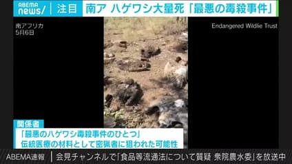 abema-news