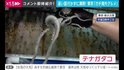 abema-news