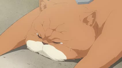 abema-anime