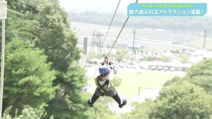 world-sports