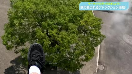 world-sports
