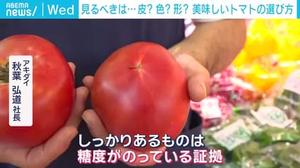 abema-news