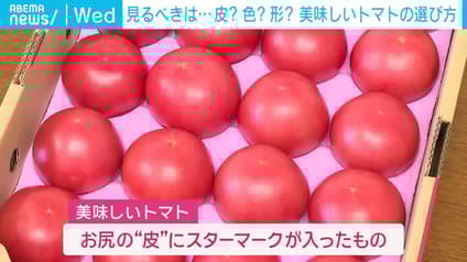 abema-news