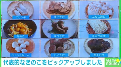 abema-news