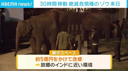 abema-news