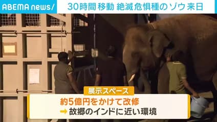 abema-news