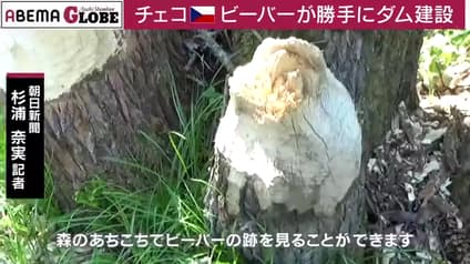 abema-news