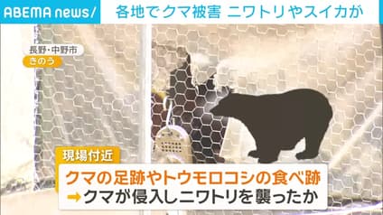 abema-news