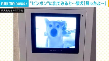 abema-news