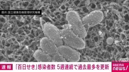 abema-news