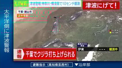 abema-news