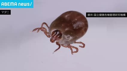 abema-news