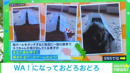 abema-news