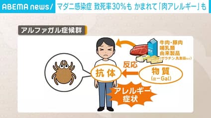 abema-news