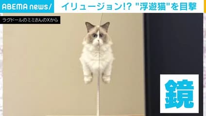 abema-news