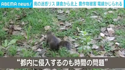 abema-news