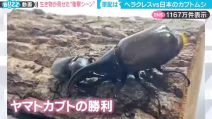 abema-news